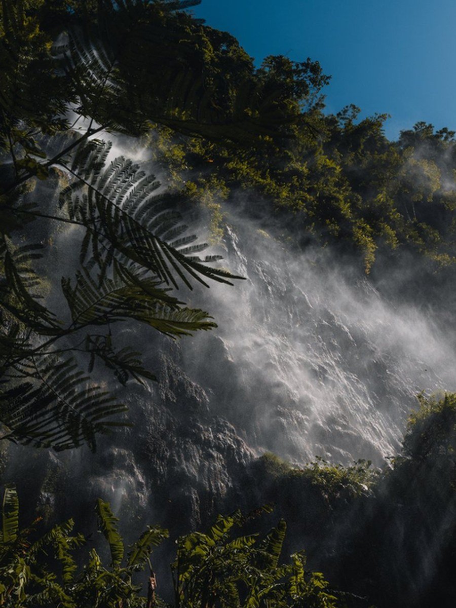 Waterfall surrounded by tropical forest