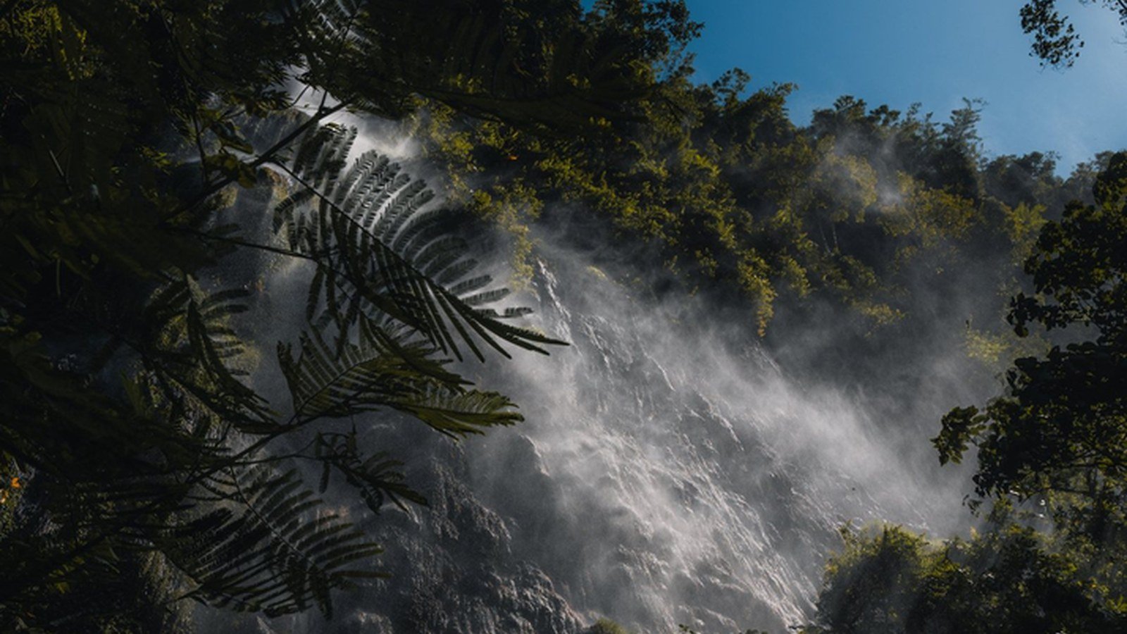 Bali waterfall travel video preview